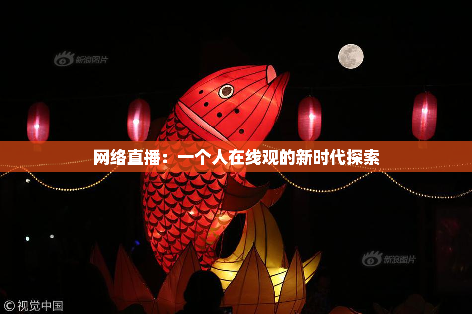 网络直播：一个人在线观的新时代探索