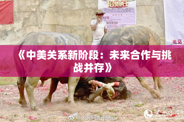 《中美关系新阶段：未来合作与挑战并存》