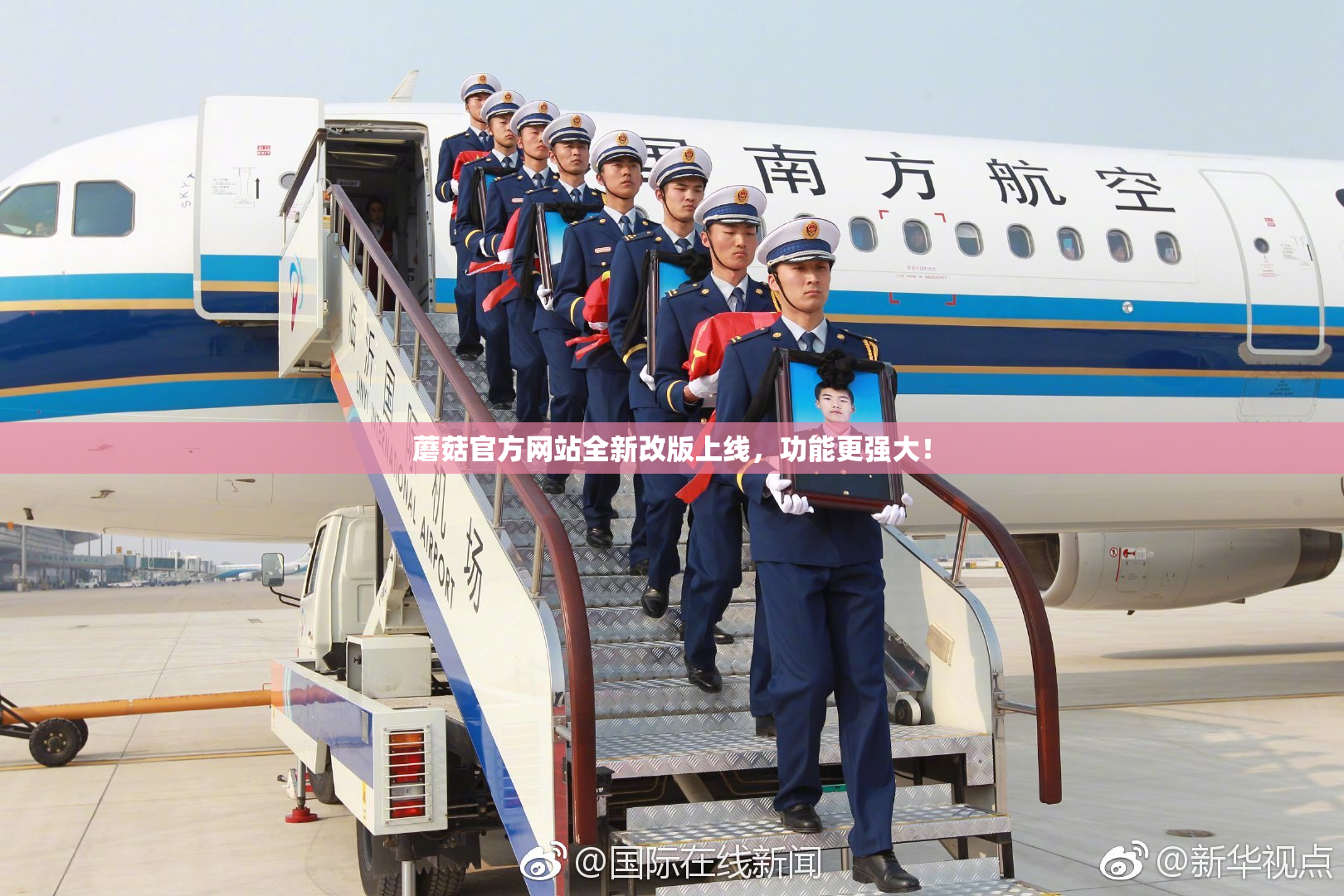 蘑菇官方网站全新改版上线，功能更强大！