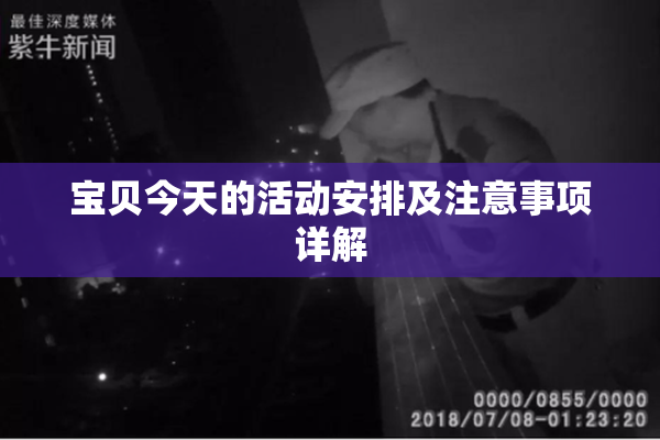 宝贝今天的活动安排及注意事项详解
