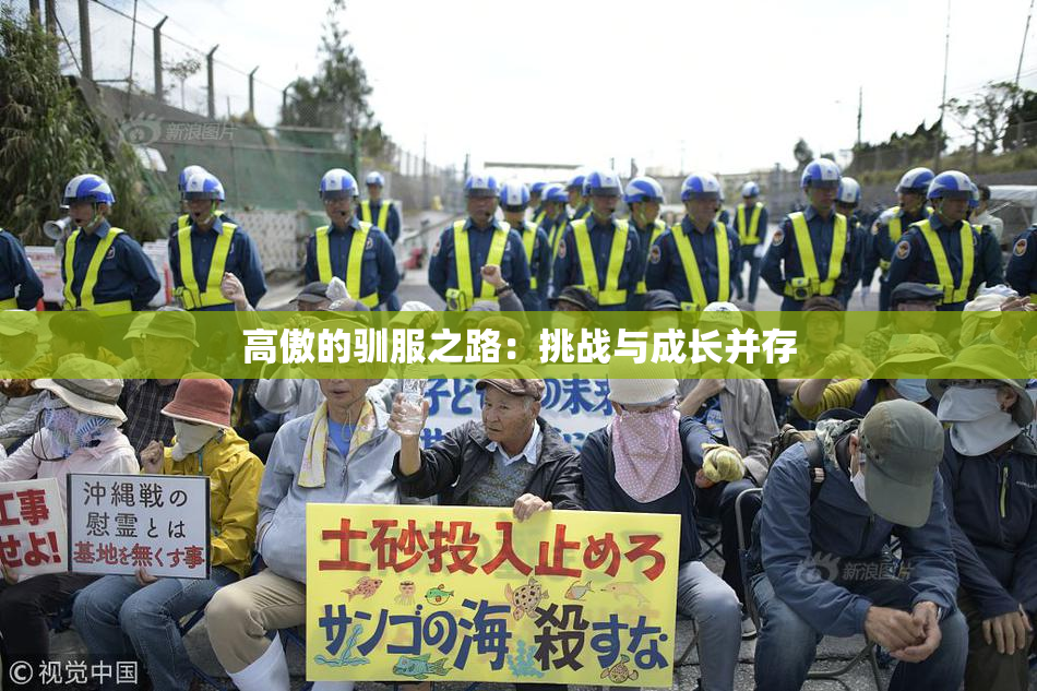 高傲的驯服之路：挑战与成长并存