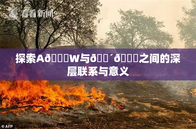 探索A🔞W与🔴🔞之间的深层联系与意义