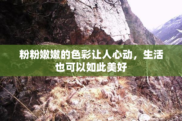 粉粉嫩嫩的色彩让人心动，生活也可以如此美好