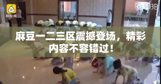 麻豆一二三区震撼登场，精彩内容不容错过！
