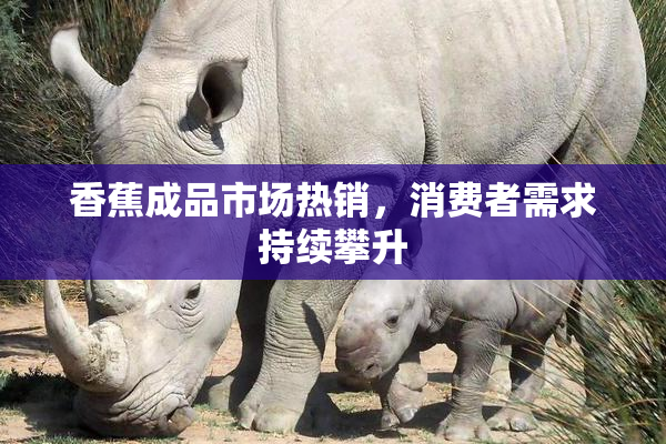 香蕉成品市场热销，消费者需求持续攀升