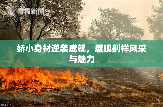 娇小身材逆袭成就，展现别样风采与魅力