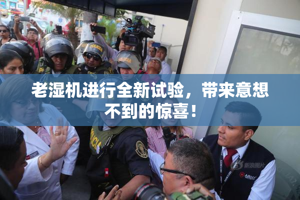 老湿机进行全新试验，带来意想不到的惊喜！