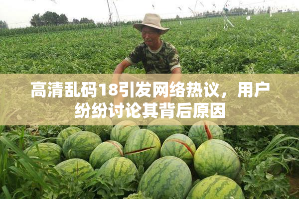 高清乱码18引发网络热议，用户纷纷讨论其背后原因