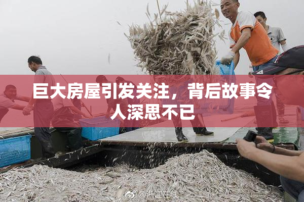 巨大房屋引发关注，背后故事令人深思不已