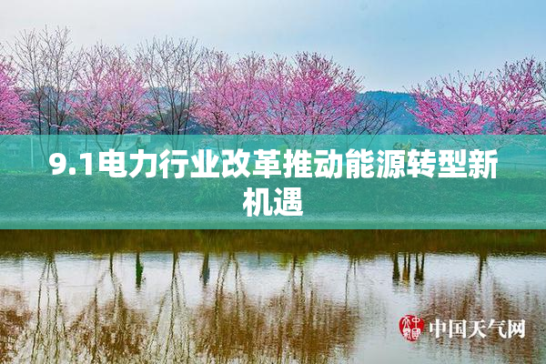 9.1电力行业改革推动能源转型新机遇