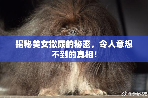 揭秘美女撒尿的秘密，令人意想不到的真相！