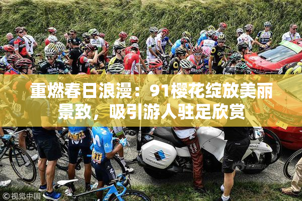 重燃春日浪漫：91樱花绽放美丽景致，吸引游人驻足欣赏