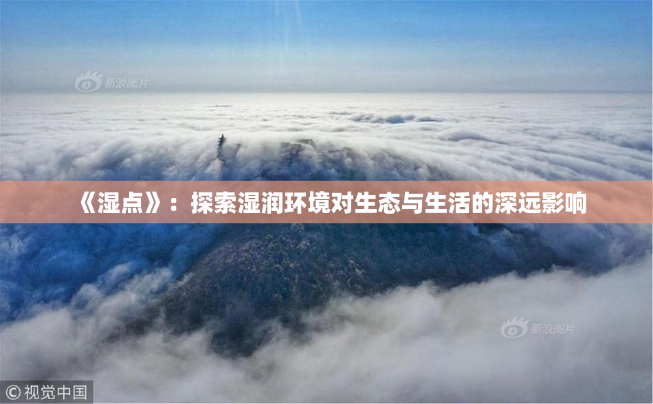 《湿点》：探索湿润环境对生态与生活的深远影响