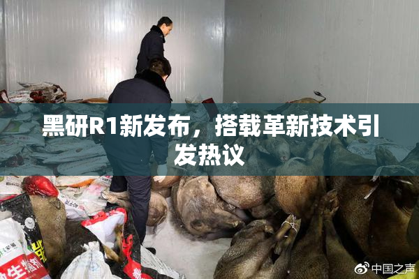 黑研R1新发布，搭载革新技术引发热议