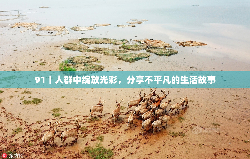 91丨人群中绽放光彩，分享不平凡的生活故事