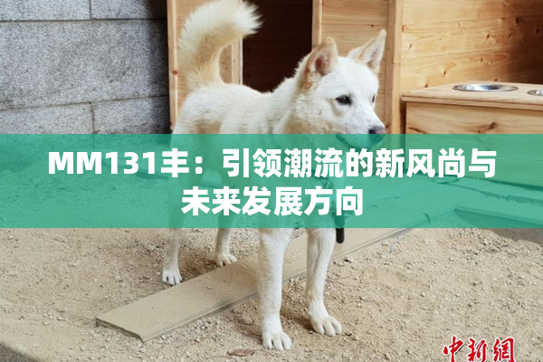 MM131丰：引领潮流的新风尚与未来发展方向