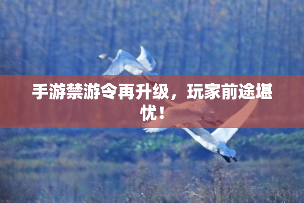 手游禁游令再升级，玩家前途堪忧！