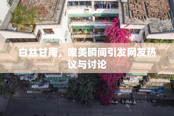 白丝甘雨，唯美瞬间引发网友热议与讨论