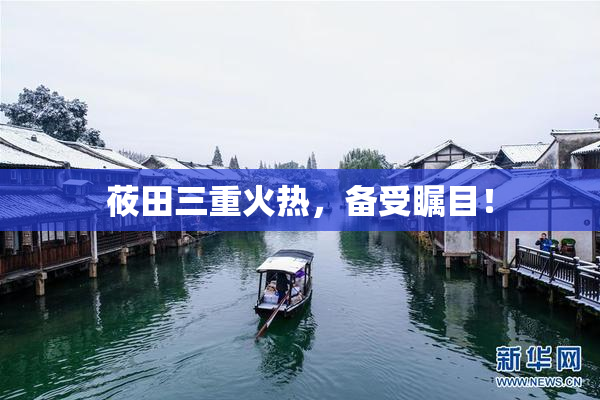 莜田三重火热，备受瞩目！