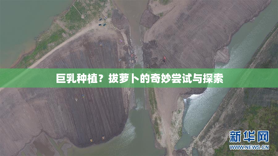 巨乳种植？拔萝卜的奇妙尝试与探索