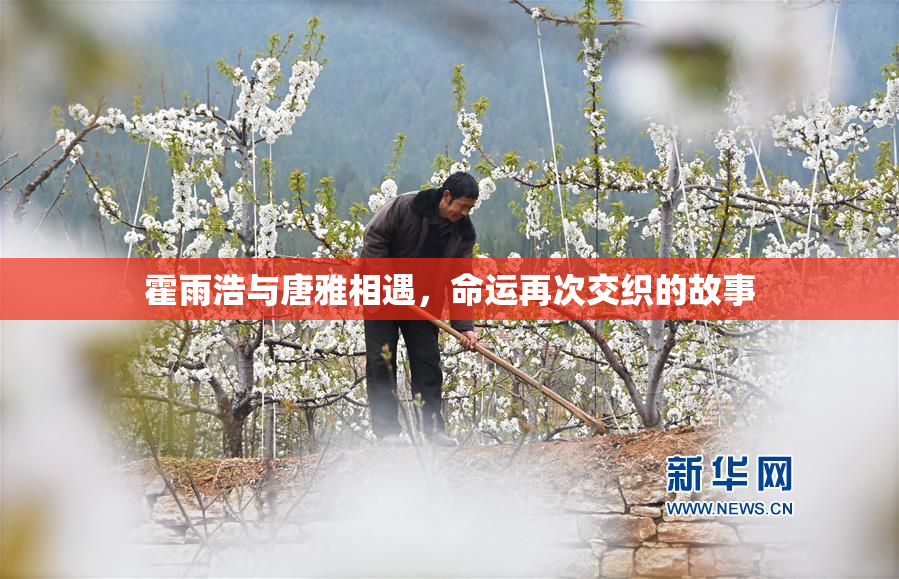 霍雨浩与唐雅相遇，命运再次交织的故事