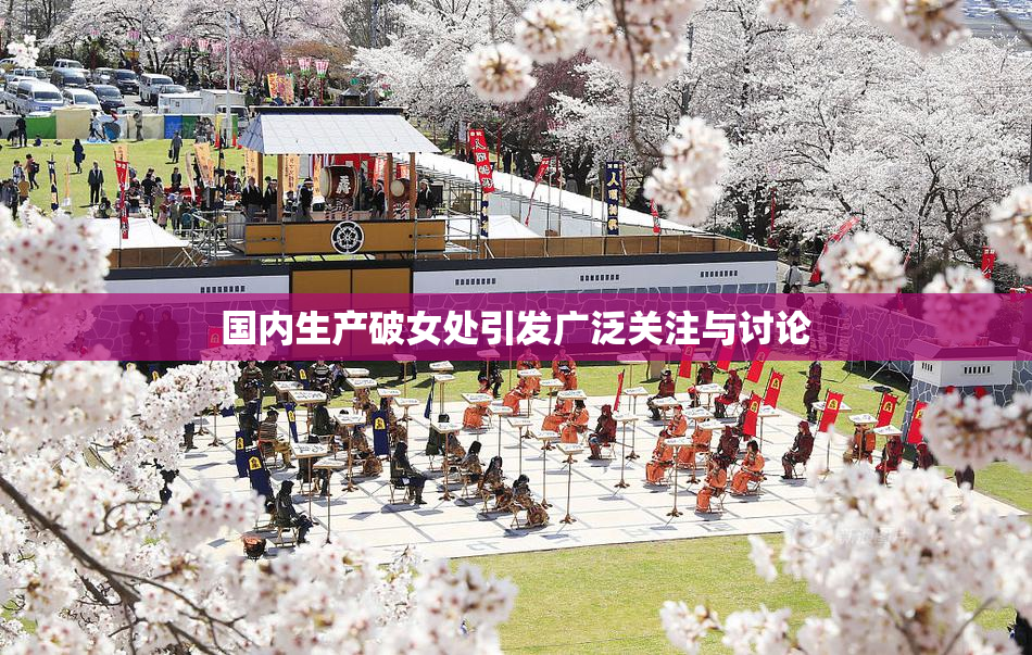 国内生产破女处引发广泛关注与讨论