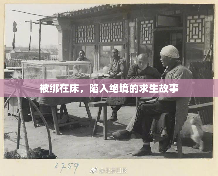 被绑在床，陷入绝境的求生故事