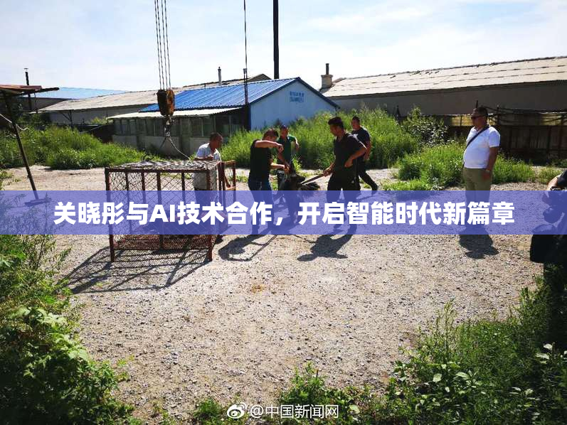 关晓彤与AI技术合作，开启智能时代新篇章