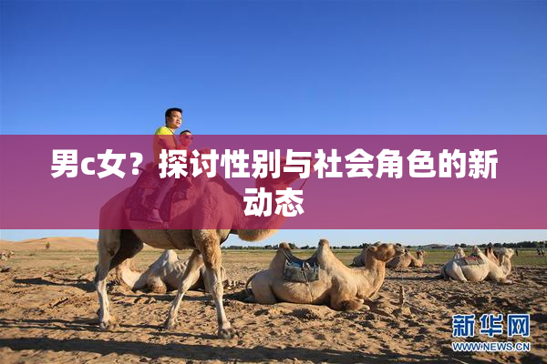 男c女？探讨性别与社会角色的新动态