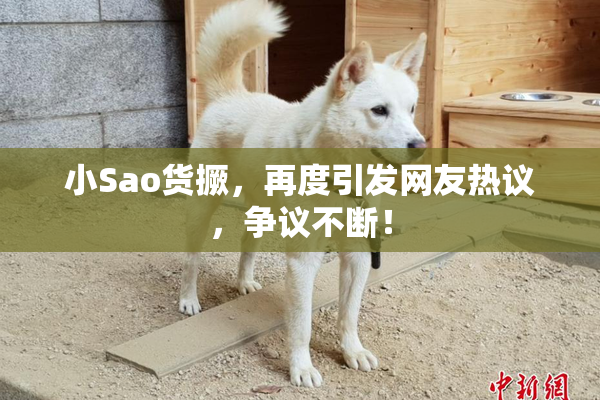 小Sao货撅，再度引发网友热议，争议不断！