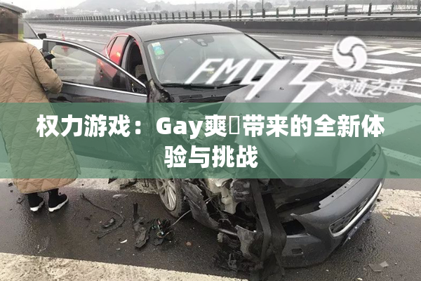 权力游戏：Gay爽擼带来的全新体验与挑战