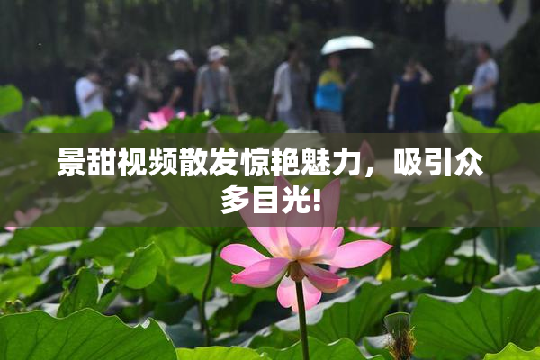 景甜视频散发惊艳魅力，吸引众多目光!
