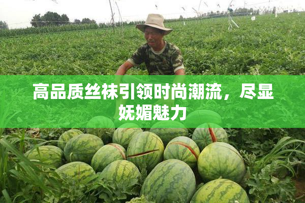 高品质丝袜引领时尚潮流，尽显妩媚魅力