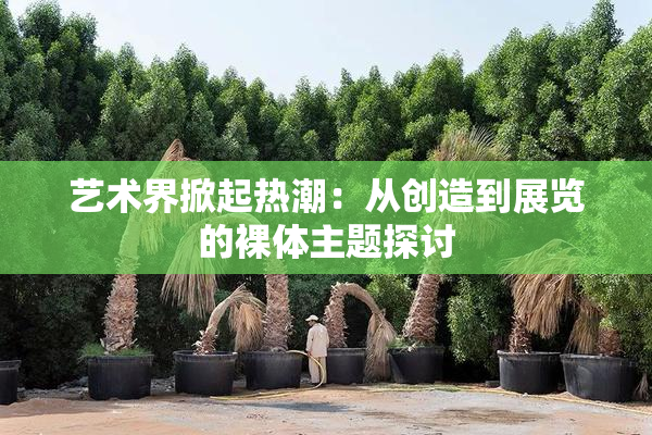 艺术界掀起热潮：从创造到展览的裸体主题探讨
