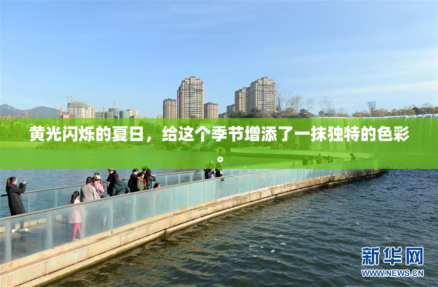黄光闪烁的夏日，给这个季节增添了一抹独特的色彩。