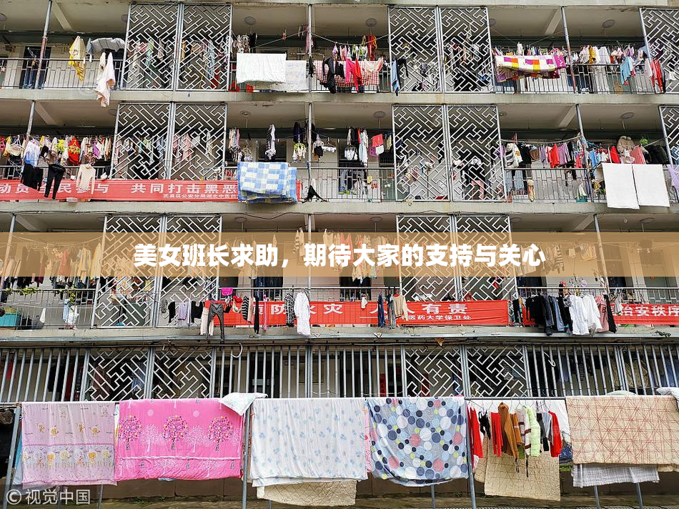 美女班长求助，期待大家的支持与关心