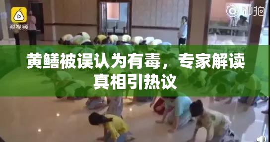 黄鳝被误认为有毒，专家解读真相引热议
