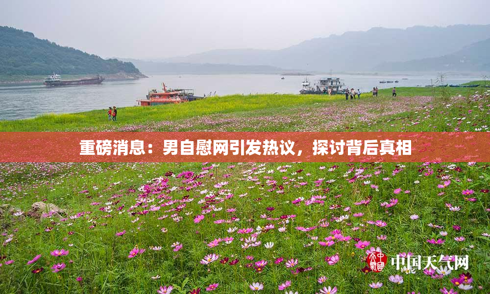 重磅消息：男自慰网引发热议，探讨背后真相