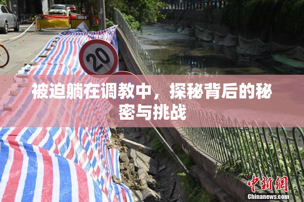 被迫躺在调教中，探秘背后的秘密与挑战