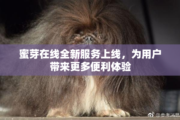蜜芽在线全新服务上线，为用户带来更多便利体验
