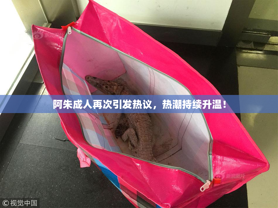 阿朱成人再次引发热议，热潮持续升温！