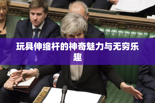 玩具伸缩杆的神奇魅力与无穷乐趣