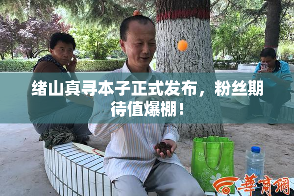 绪山真寻本子正式发布，粉丝期待值爆棚！
