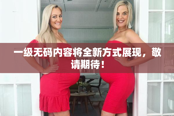 一级无码内容将全新方式展现，敬请期待！