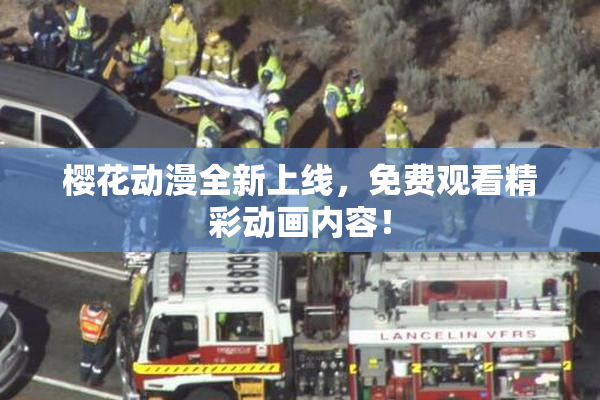樱花动漫全新上线，免费观看精彩动画内容！