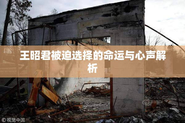王昭君被迫选择的命运与心声解析