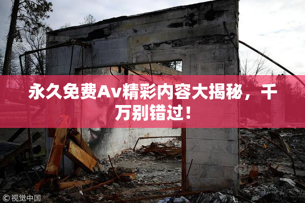永久免费Av精彩内容大揭秘，千万别错过！