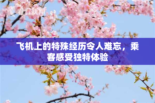 飞机上的特殊经历令人难忘，乘客感受独特体验