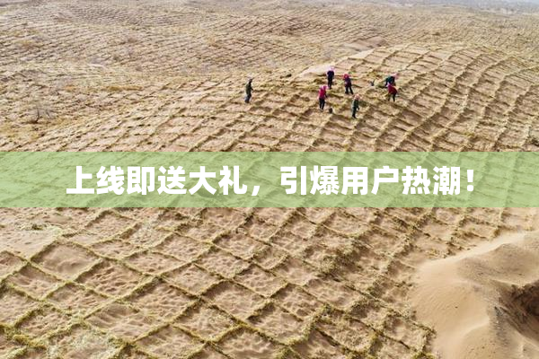 上线即送大礼，引爆用户热潮！