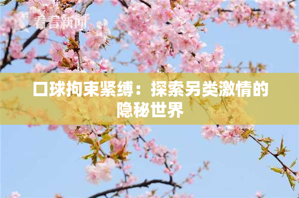 口球拘束紧缚：探索另类激情的隐秘世界